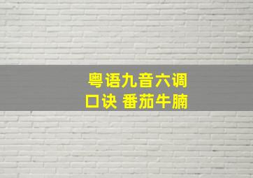 粤语九音六调口诀 番茄牛腩